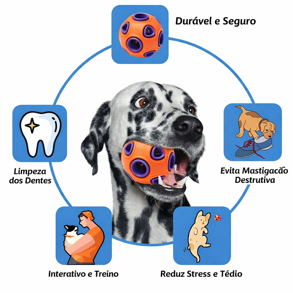 Bolas oca para mastigar para cães