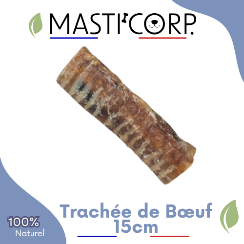 Traqueia de boi - 15 cm