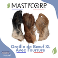 Orelha de boi XL com pelo