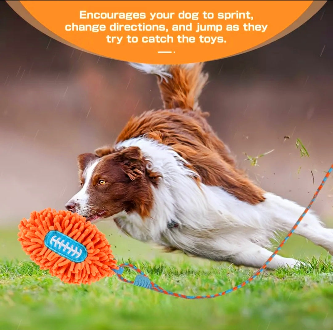 Pole de Flerte para caça