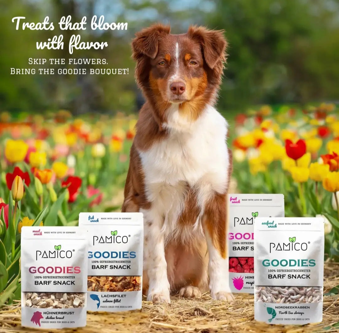 Goodies de espadilha liofilizada para cães e gatos - Snack de peixe com proteína de alta qualidade e vitamina D