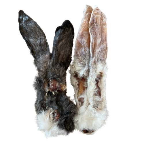 Orelhas de coelho com pelo