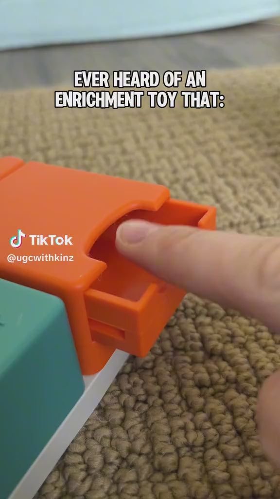 CONJUNTO GENIUS – PAWZLER